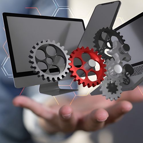 our expertise in services